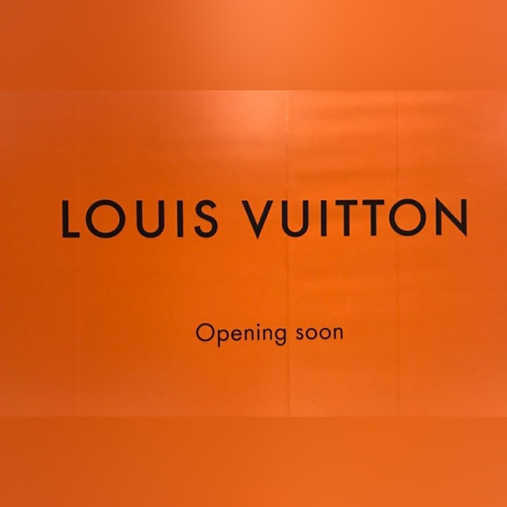 HARD TO FIND SIZE / STYLE~ LOUIS VUITTON DELIGHTFUL NM GM